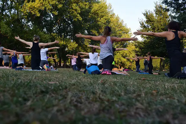 Tìm Hiểu Về Yoga Trị Liệu: Hướng Dẫn Chi Tiết